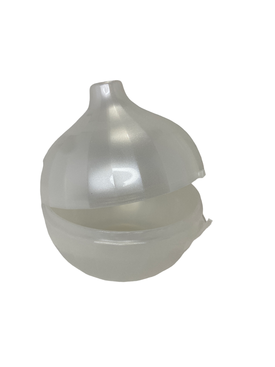 Tupper Cebolla